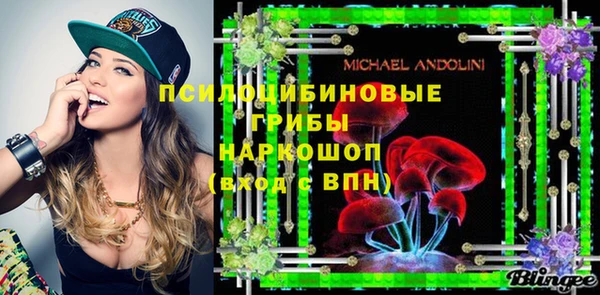 ПСИЛОЦИБИНОВЫЕ ГРИБЫ Ладушкин