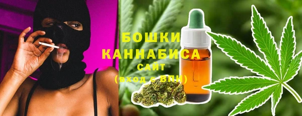 ПСИЛОЦИБИНОВЫЕ ГРИБЫ Ладушкин